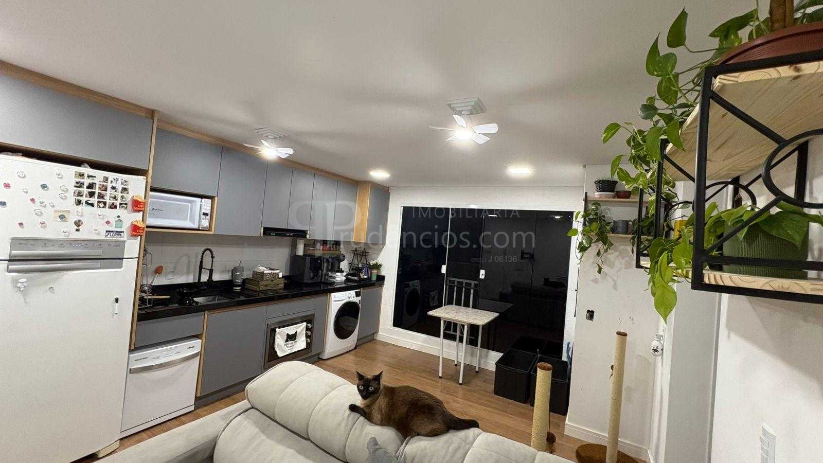 Apartamento com 2 dormitórios à venda, campina da barra, ARAUC...
