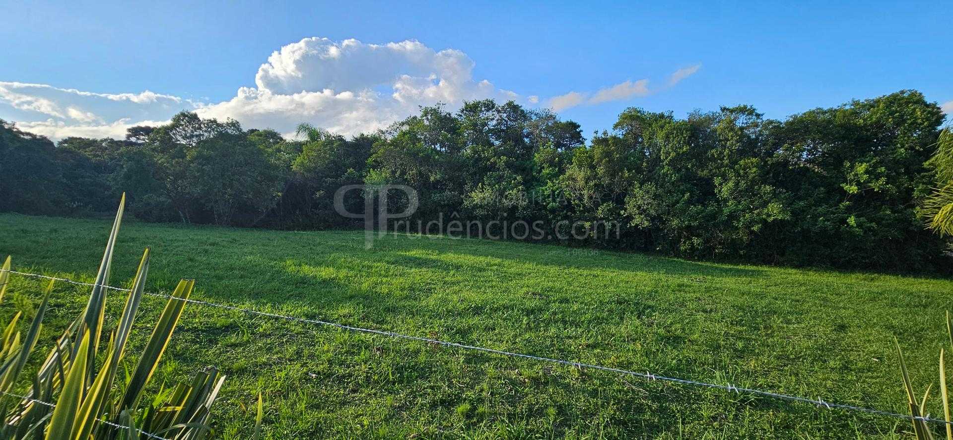 Chácara à venda, 6.000m , tanque de peixes, CAMPESTRE DA FAXIN...