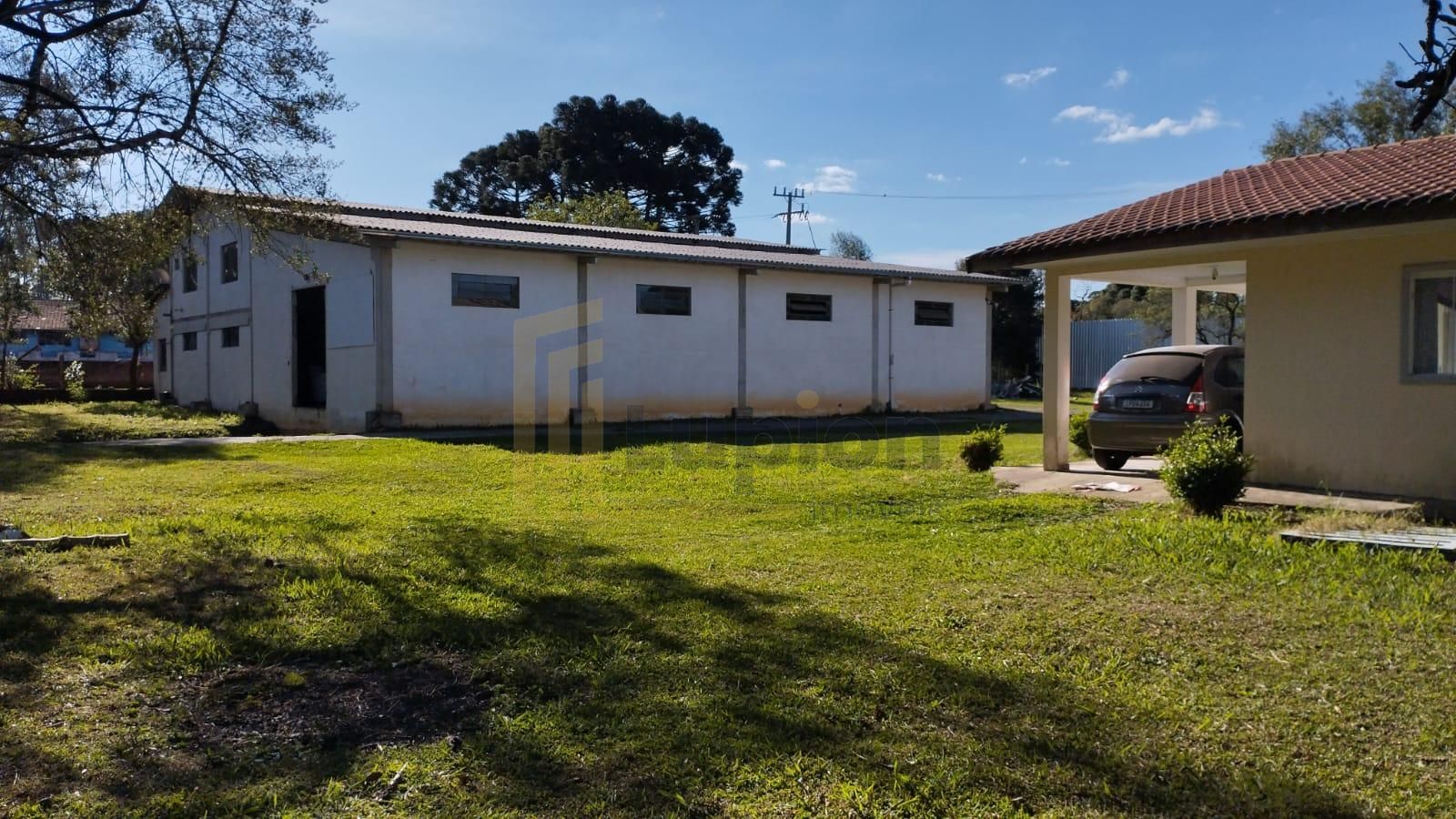Área 8.000m  com Barracões à Venda em Campo Largo  Jardim Itaqui