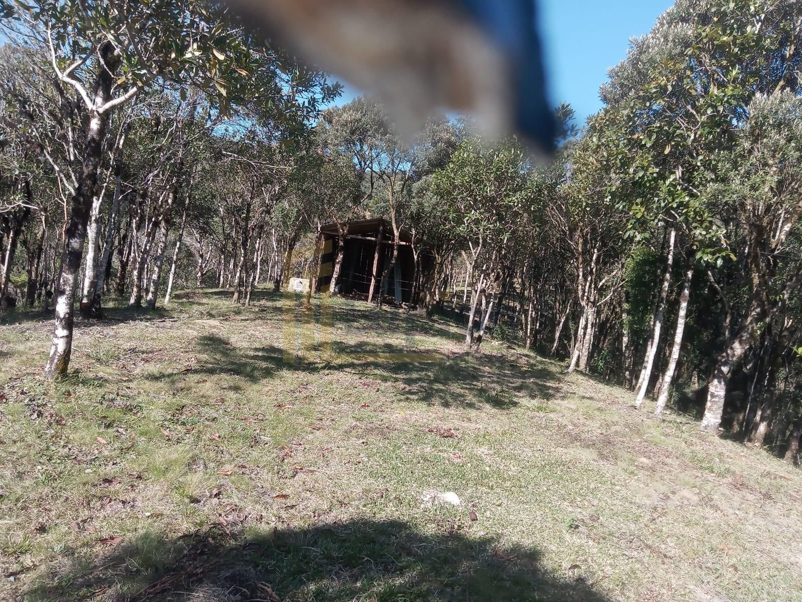 Chácara 36.000m  à Venda no Guatupê  São José dos Pinhais PR |...