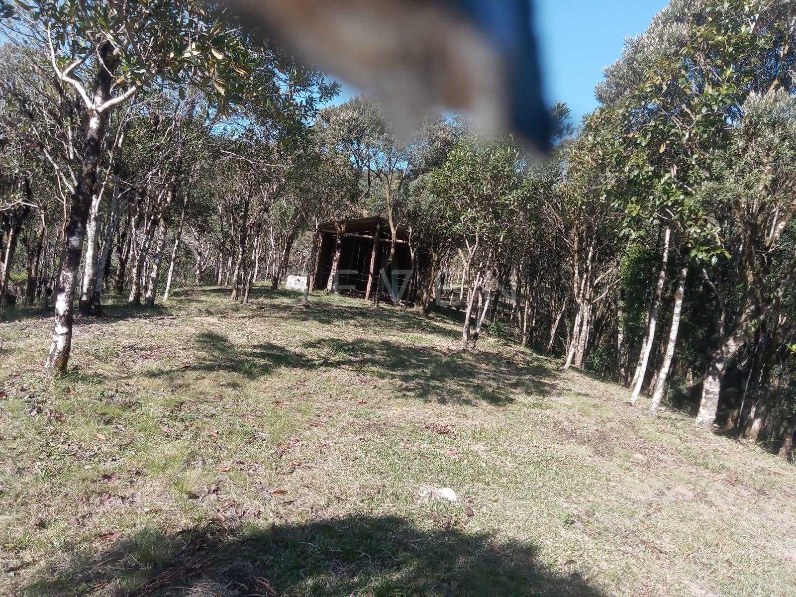 Chácara 36.000m  à Venda no Guatupê  São José dos Pinhais PR |...