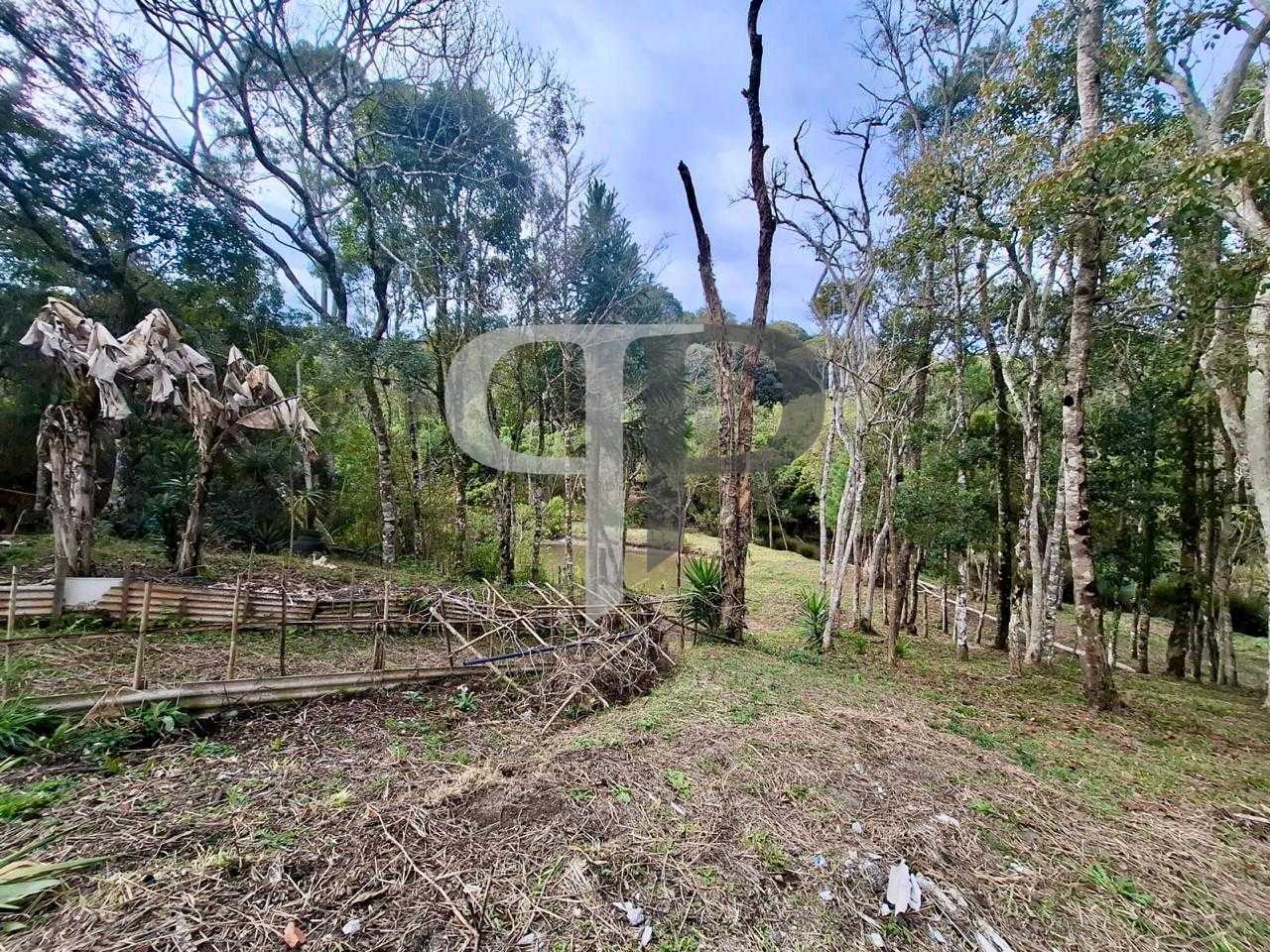 Chácara à venda com 12.000m² no valor de 583 mil, areia branca...