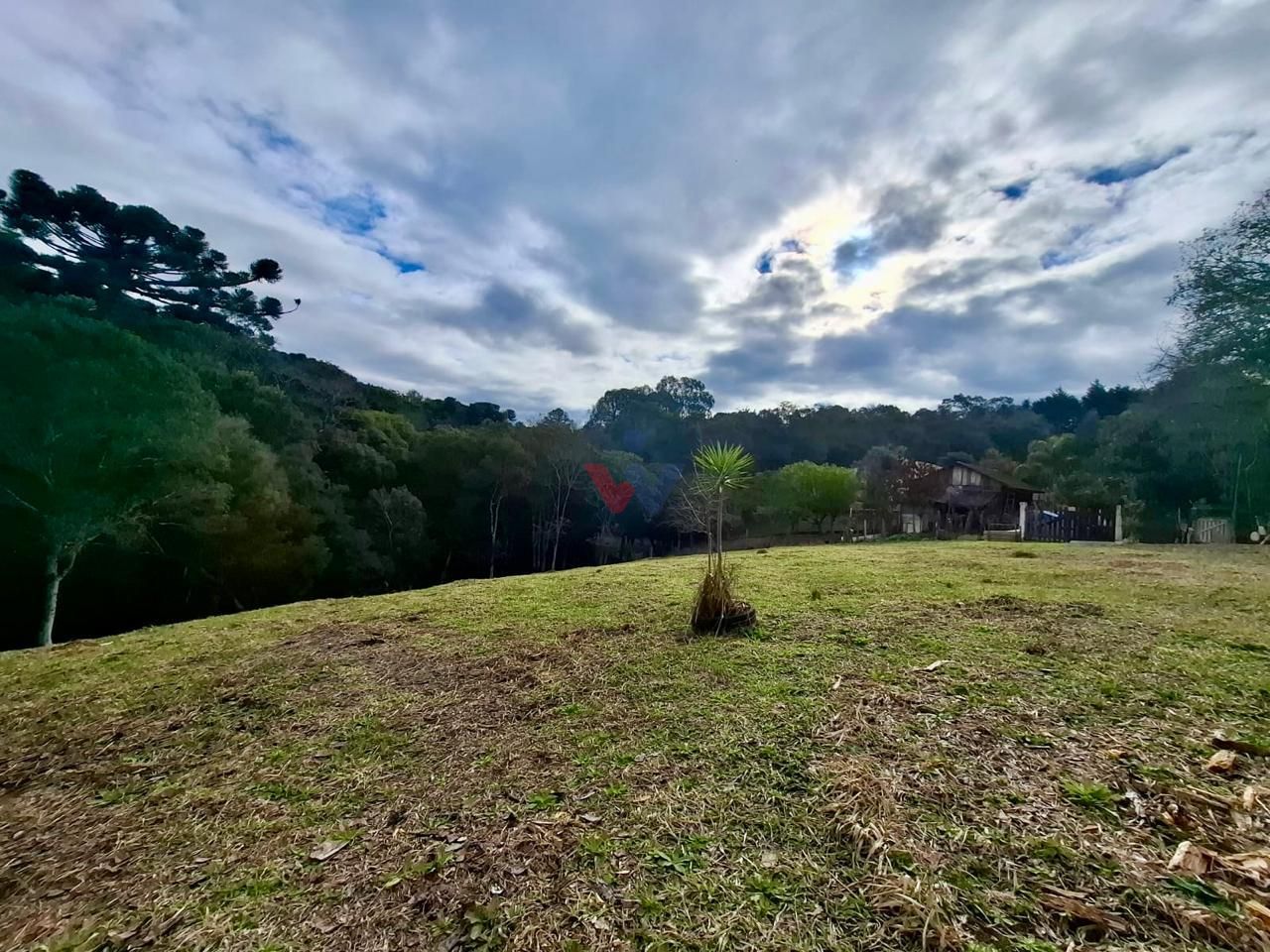 Chácara à venda com 12.000m  no valor de 583 mil, areia branca...