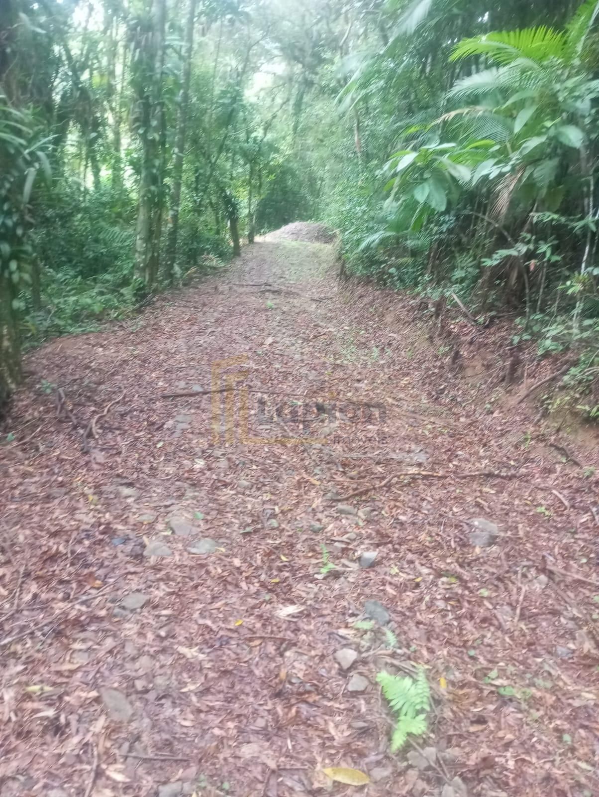 38.000m  na Serra do Mar | Área Exclusiva na Estrada da Gracio...