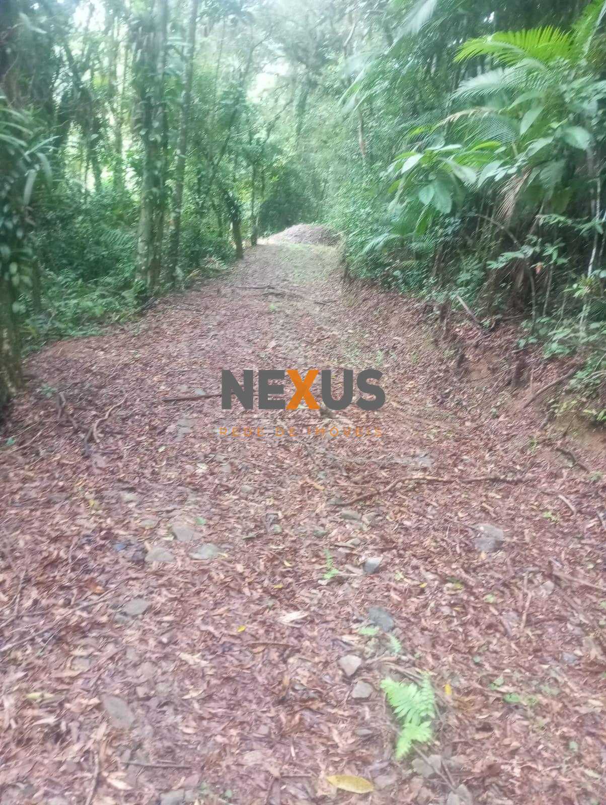 Área de 38.000 m² na Serra do Mar com nascente, lago e enorme ...
