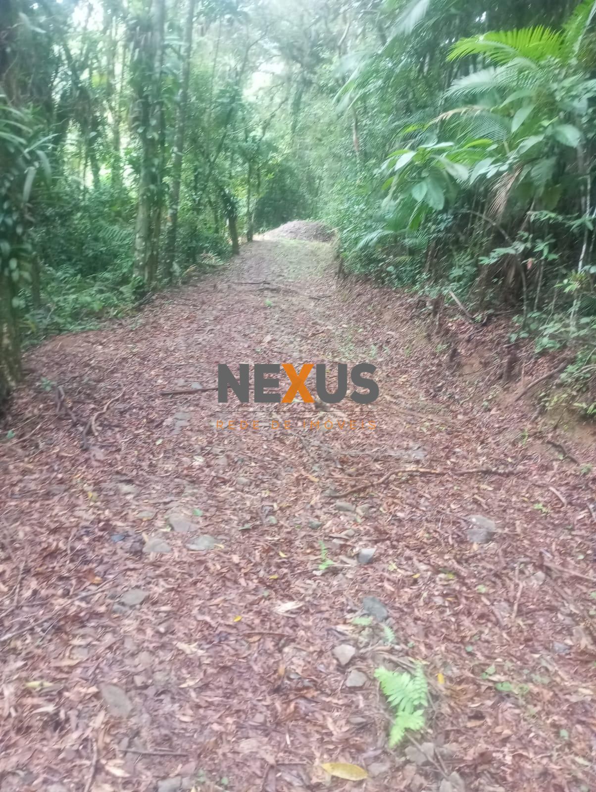 Área de 38.000 m² na Serra do Mar com nascente, lago e enorme ...