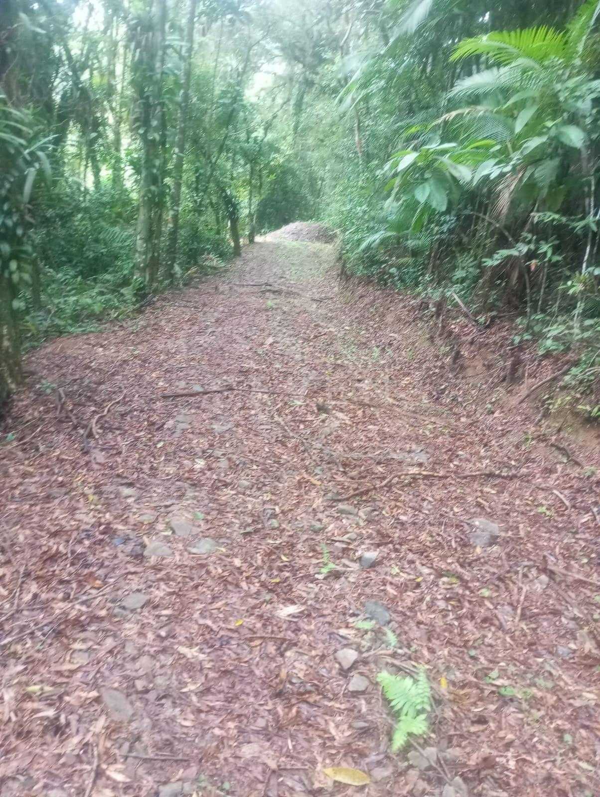38.000m  na Serra do Mar | Área na Estrada da Graciosa  R  80...