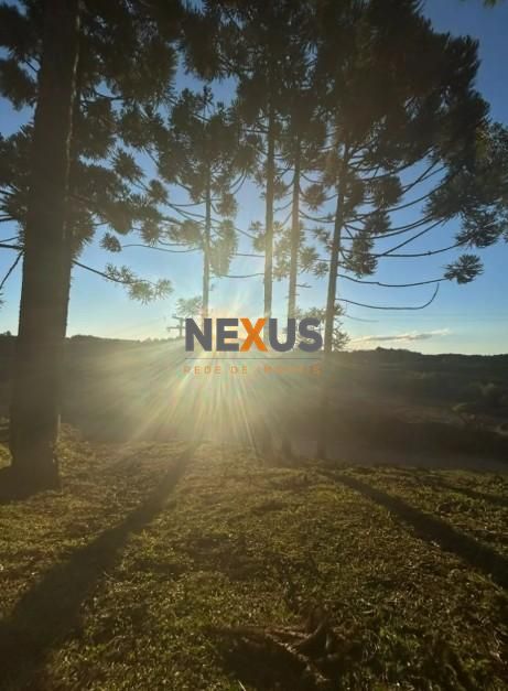 Terreno 12x40 em região de chácaras no valor de 240 mil, 10 mi...