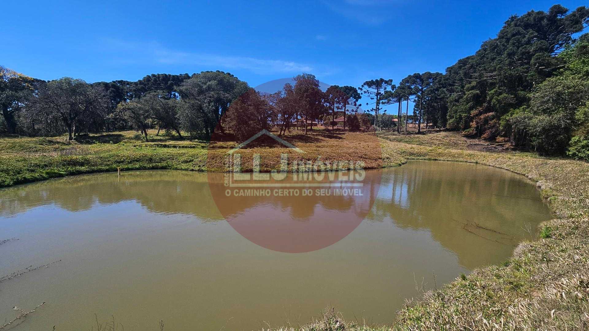 Sitio com 10 alqueires, 254.100m , tanques de peixe, rios,  Araucária