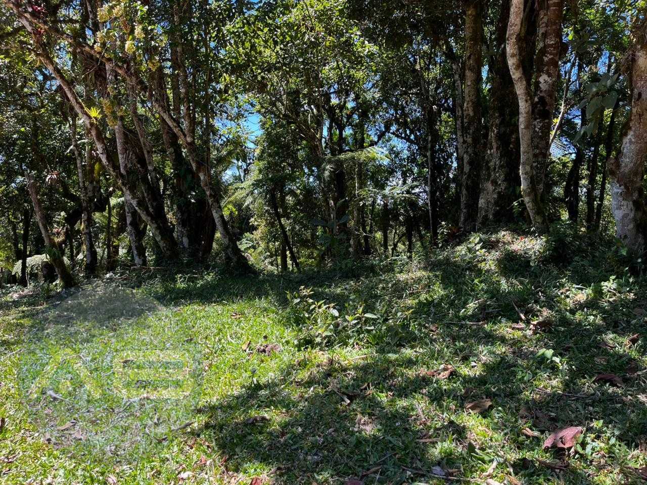 Ch?cara com 20.000 m  em meio ? natureza a 26 km de S?o Jos? d...