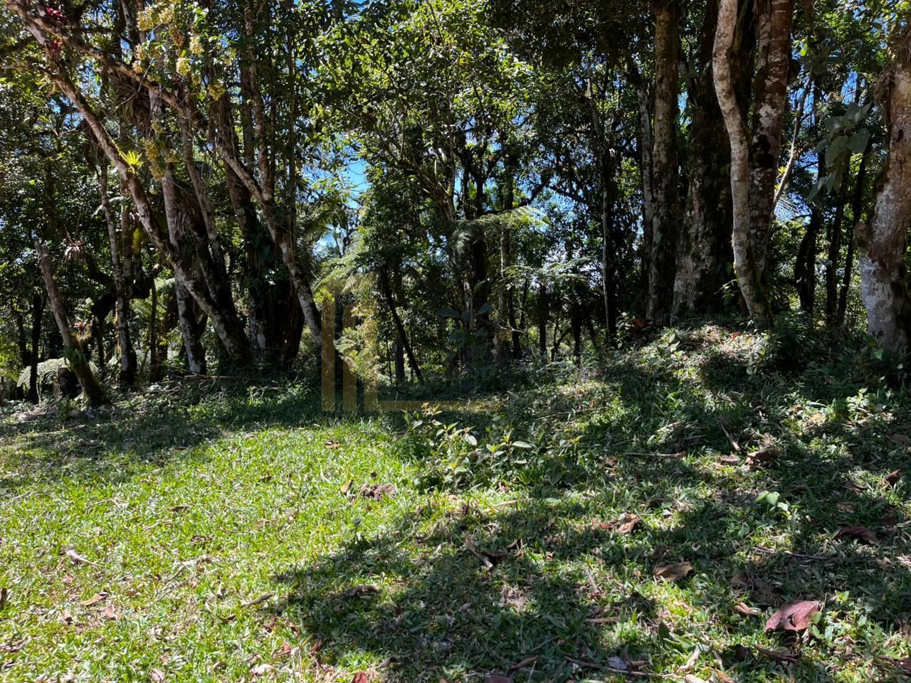 Chácara com 20.000 m  em meio à natureza a 26 km de São José d...