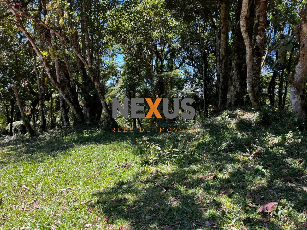 Chácara com 20.000 m  em meio à natureza a 26 km de São José d...