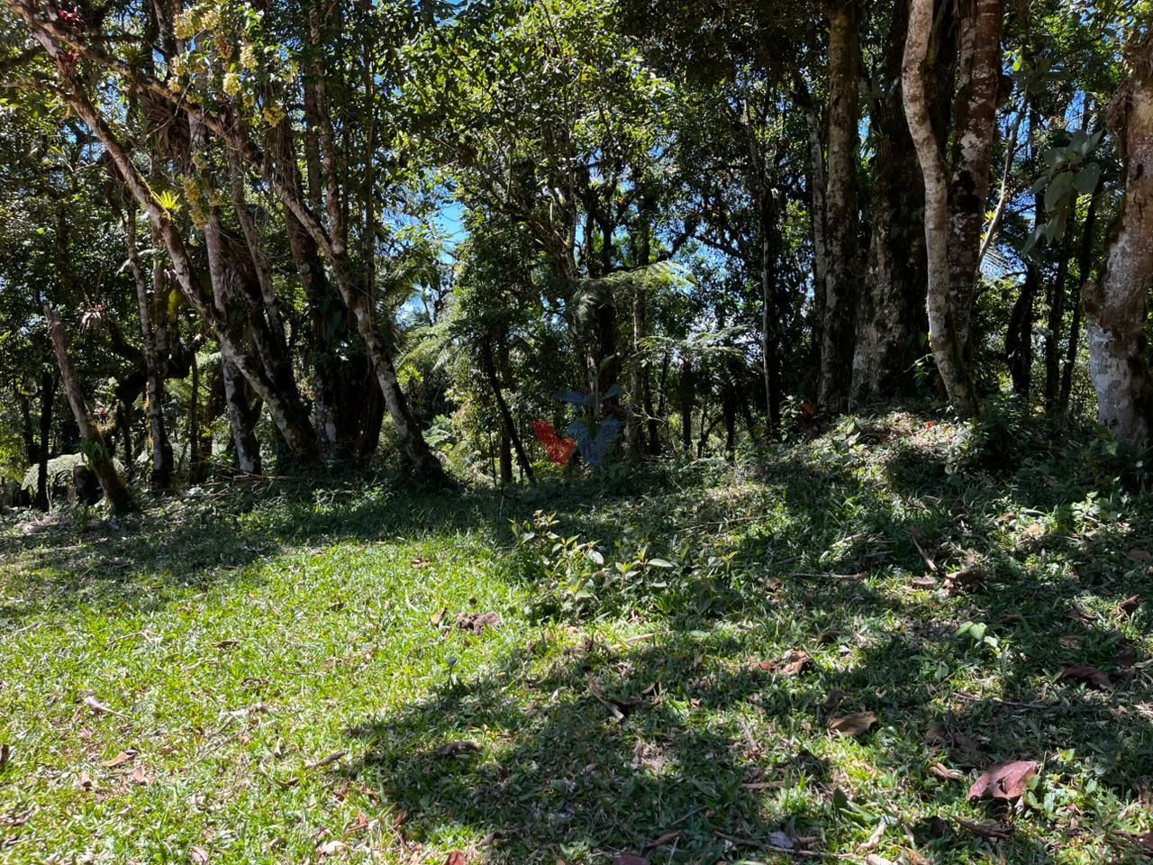 Chácara com 20.000 m  em meio à natureza a 26 km de São José d...