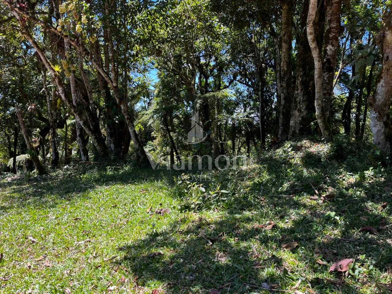 Chácara com 20.000 m  em meio à natureza a 26 km de São José d...