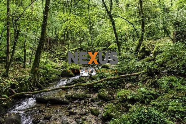 Chácara 33 mil m² à venda na Baía de Guaratuba com nascente, c...