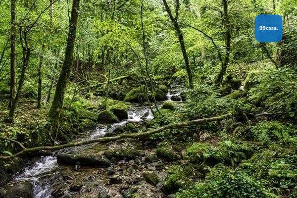 Chácara 33 mil m² à venda na Baía de Guaratuba com nascente, c...