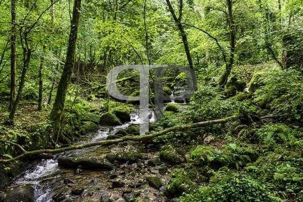 Chácara 33 mil m² à venda na Baía de Guaratuba com nascente, c...