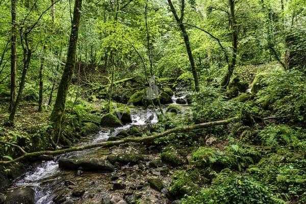 Chácara 33 mil m² à venda na Baía de Guaratuba com nascente, c...