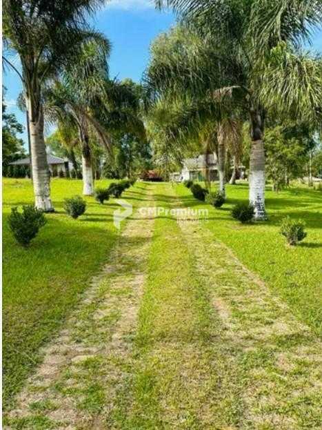 Chácara 5.000m  em Condomínio | Mandirituba divisa Fazenda Rio...