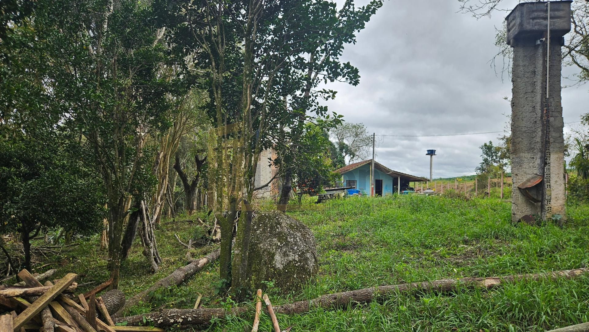 Chácara com Nascente, Vista Incrível e 44 Mil m  entre Araucár...