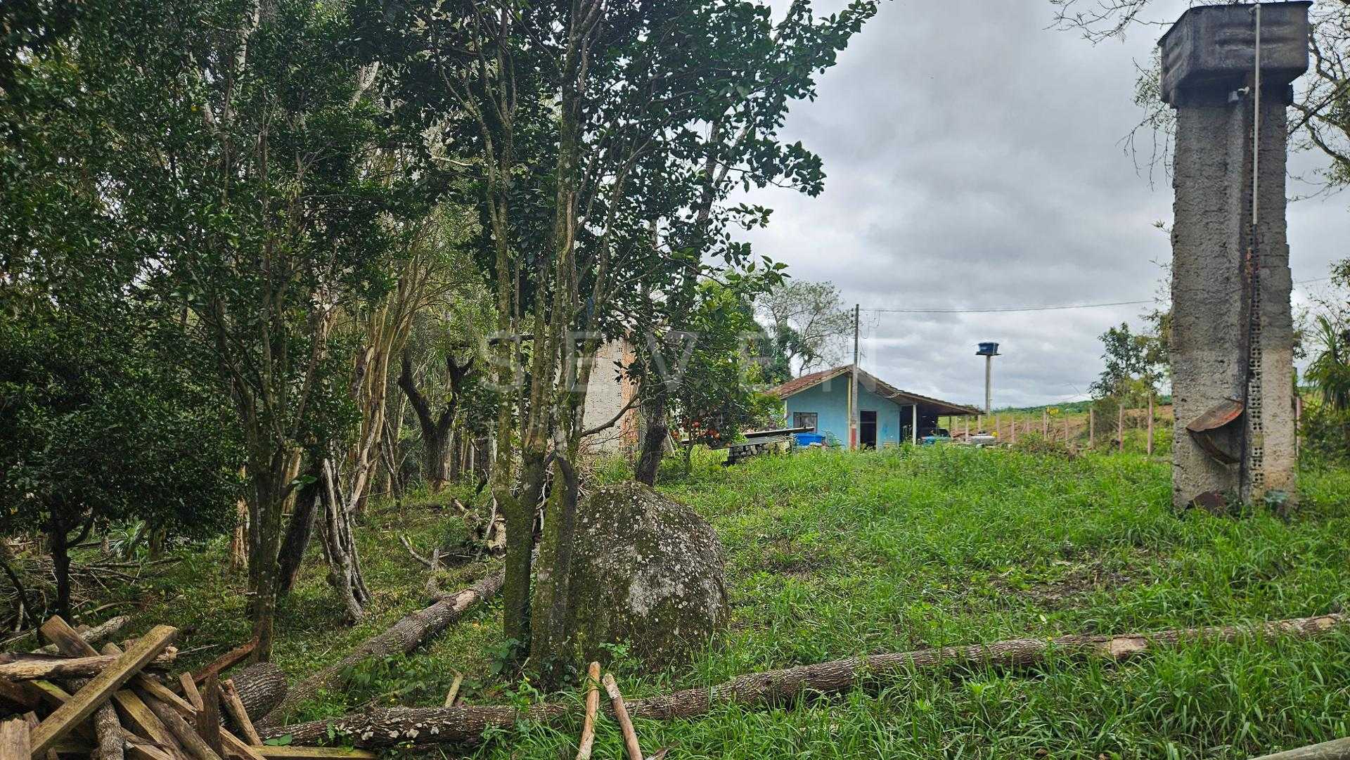 Chácara com Nascente, Vista Incrível e 44 Mil m  entre Araucár...