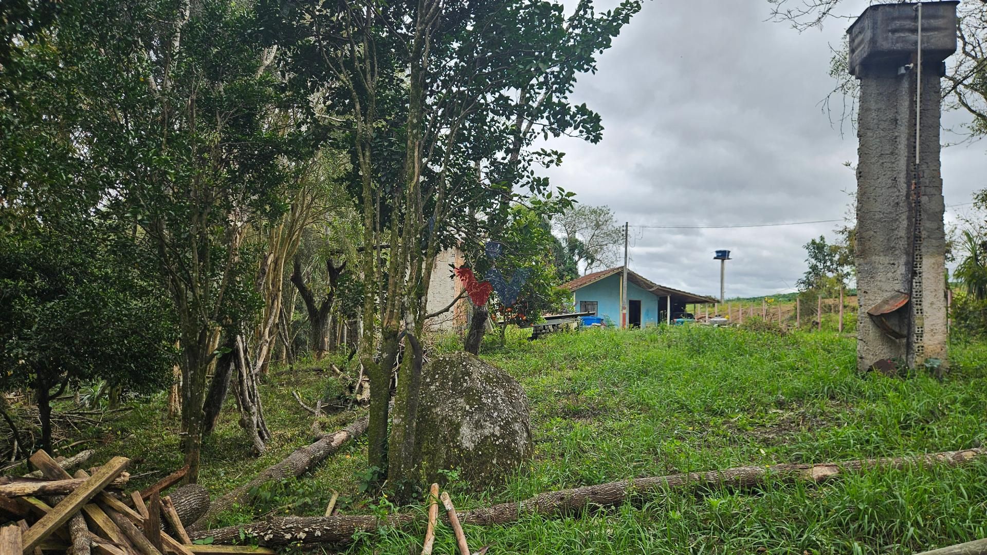 Chácara com Nascente, Vista Incrível e 44 Mil m  entre Araucár...