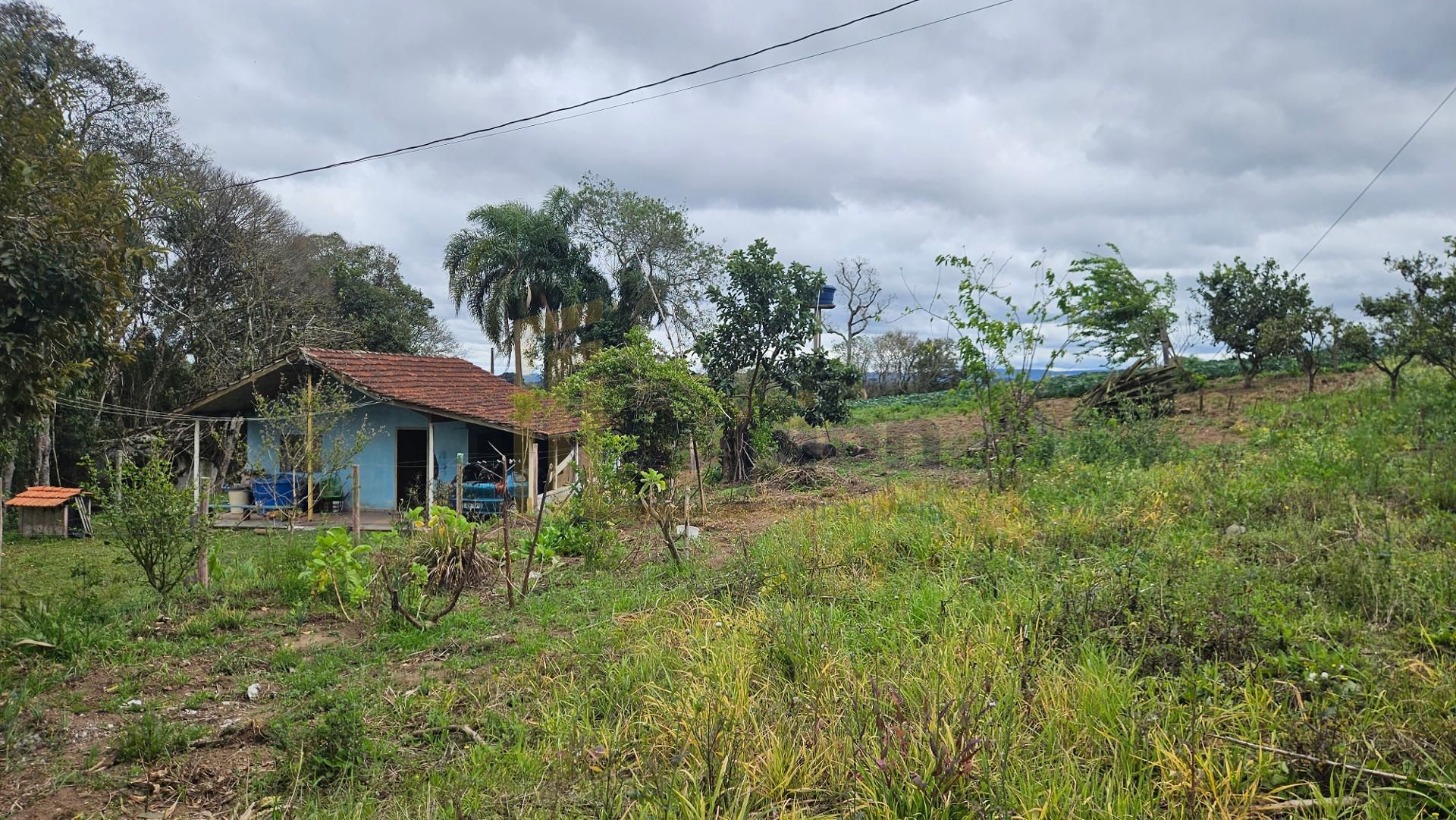 Chácara com Nascente, Vista Incrível e 44 Mil m  entre Araucár...