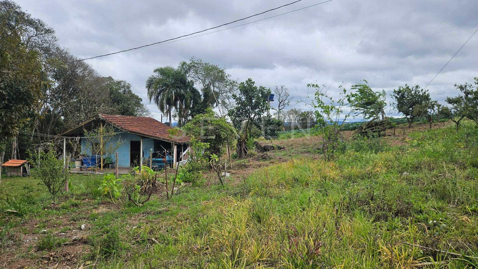 Chácara com Nascente, Vista Incrível e 44 Mil m  entre Araucár...