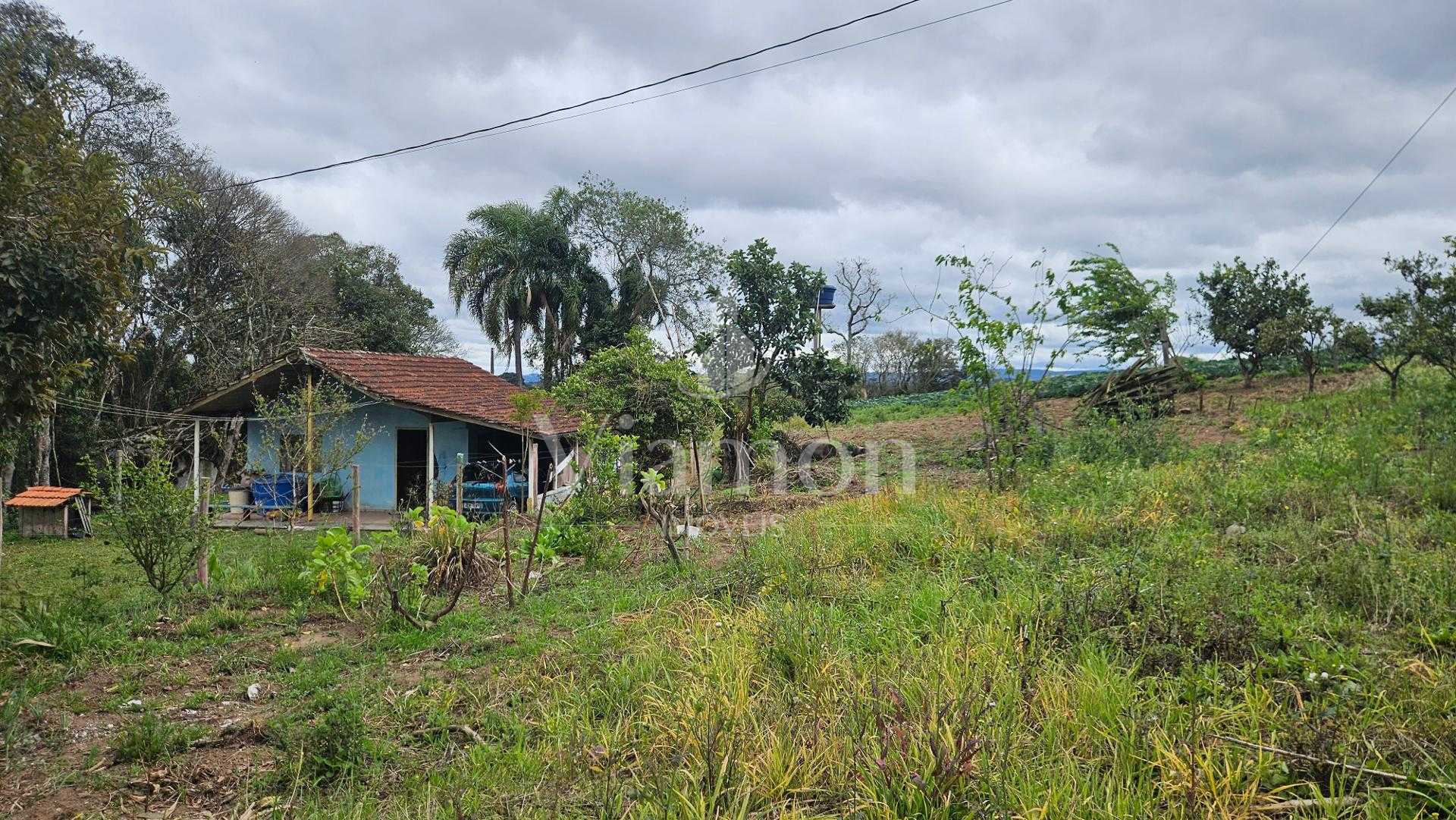 Chácara com Nascente, Vista Incrível e 44 Mil m  entre Araucár...