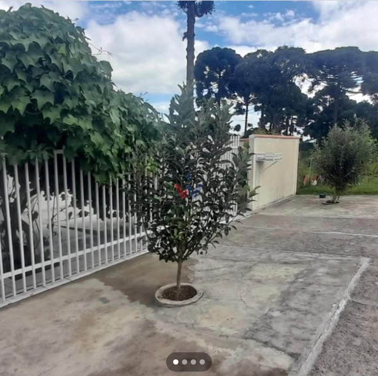 Chácara à venda em São José dos Pinhais com escritura e amplo ...