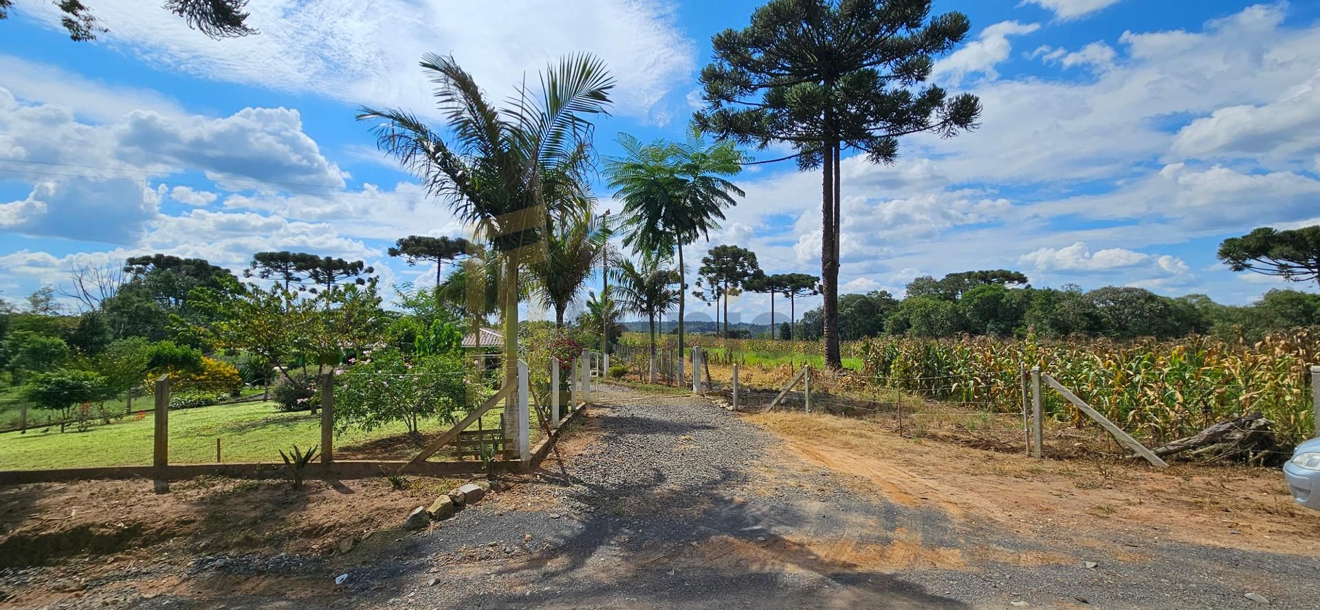 Chácara produtiva na Lapa com pomar completo, estrutura rural ...