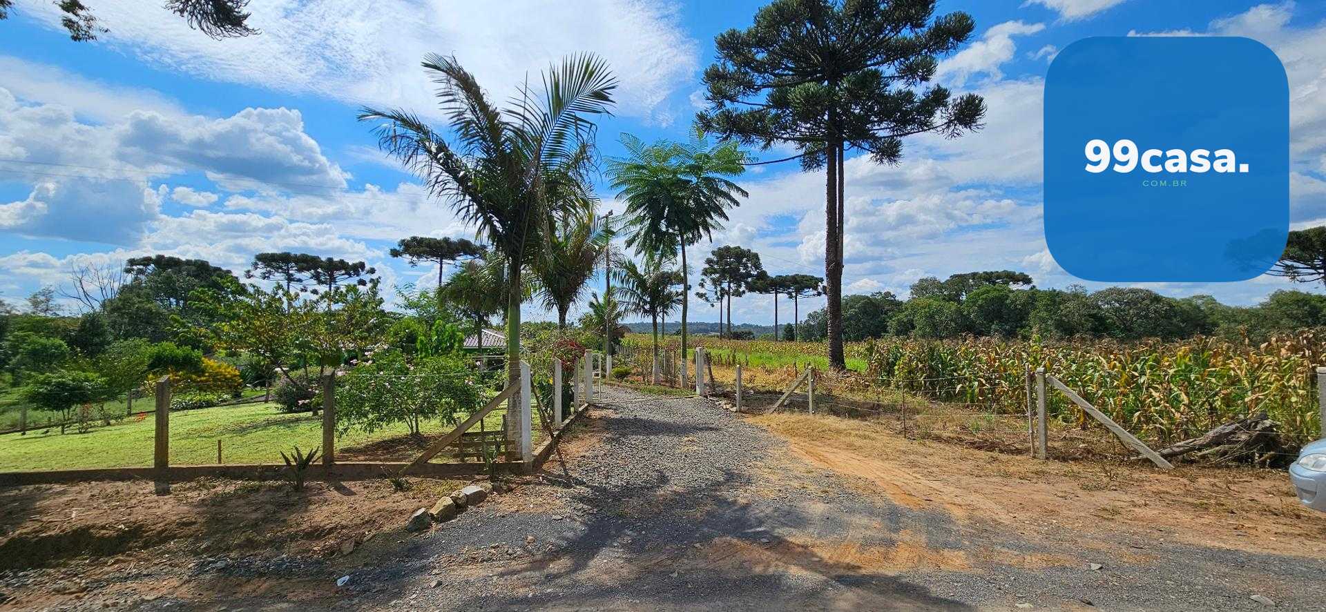 Chácara produtiva na Lapa com pomar completo, estrutura rural ...