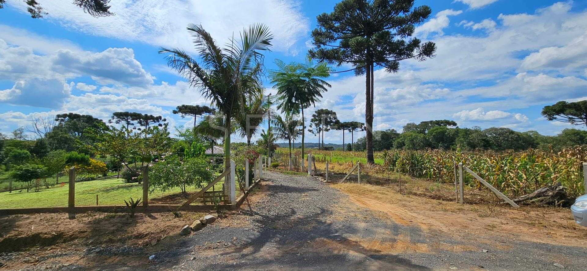 Chácara produtiva na Lapa com pomar completo, estrutura rural ...