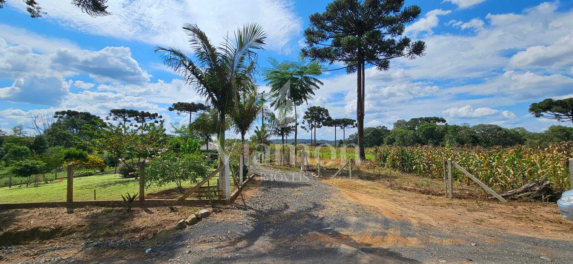 Chácara produtiva na Lapa com pomar completo, estrutura rural ...