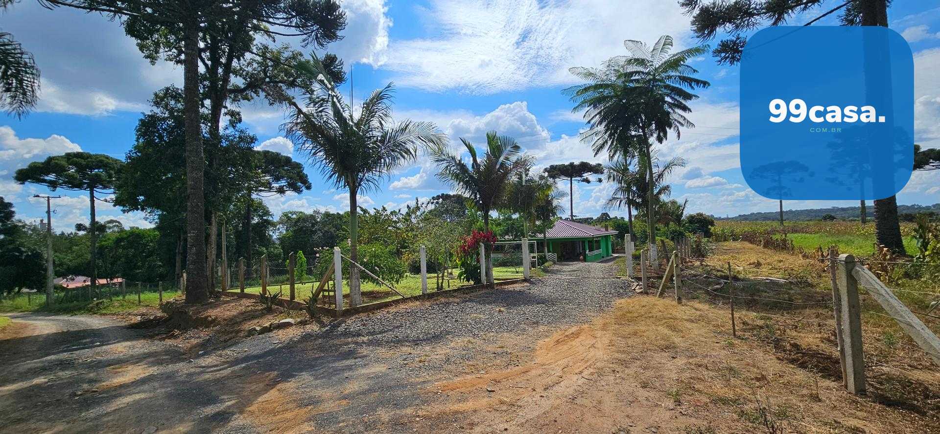 Chácara produtiva na Lapa com pomar completo, estrutura rural ...