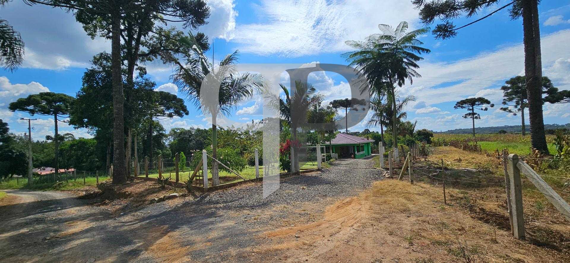 Chácara produtiva na Lapa com pomar completo, estrutura rural ...