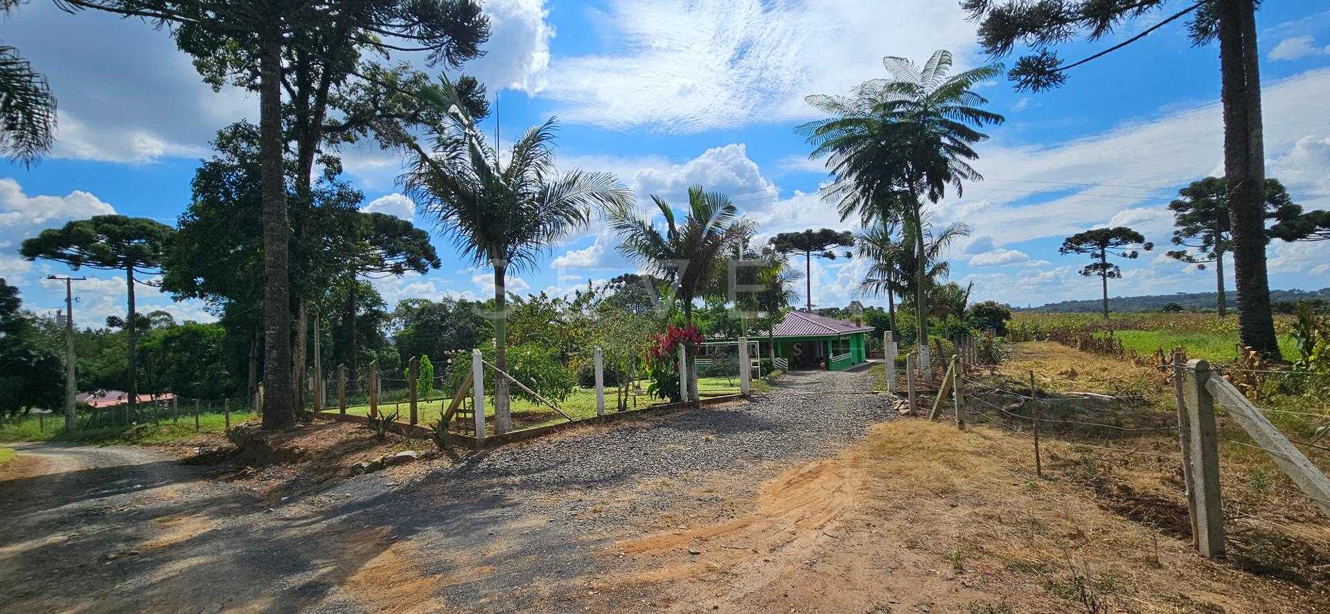 Chácara produtiva na Lapa com pomar completo, estrutura rural ...