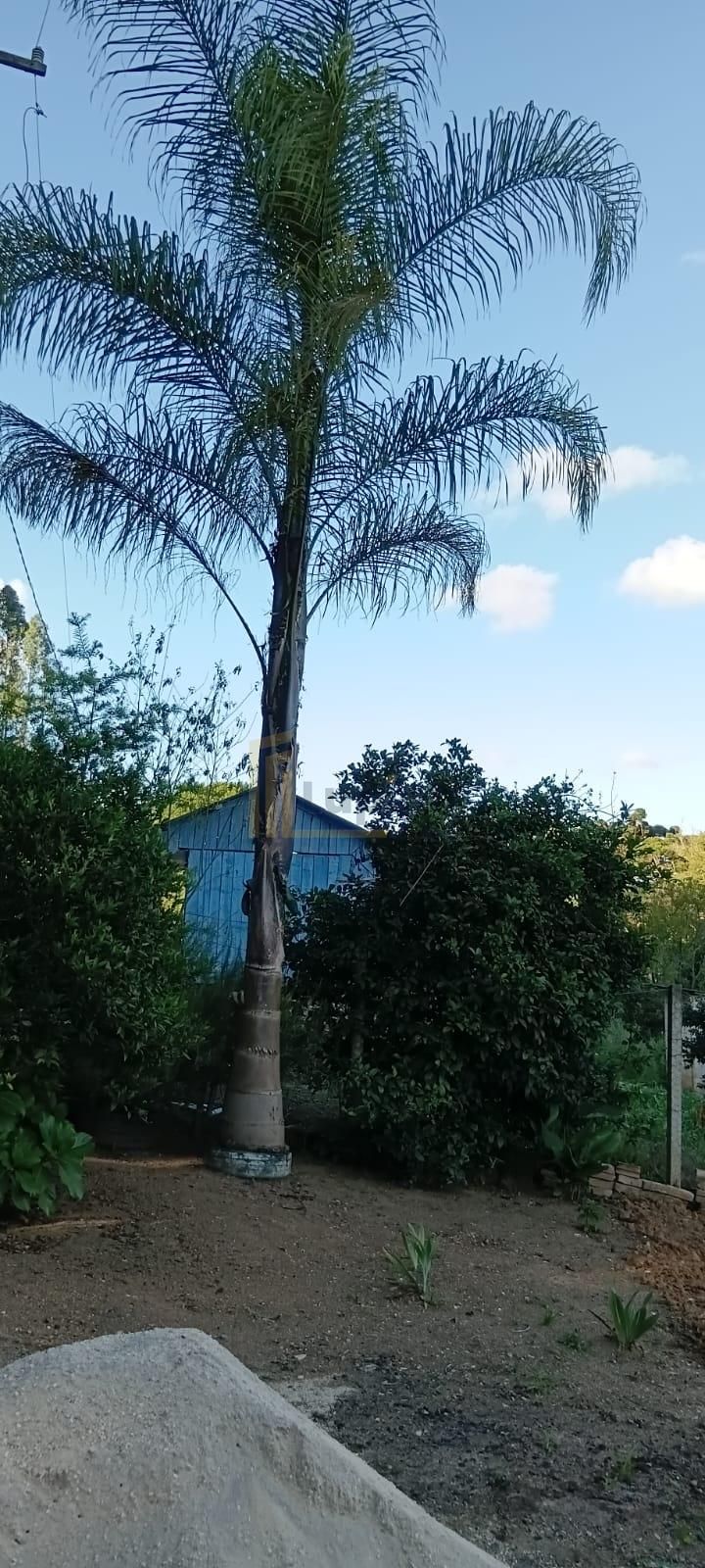 Terreno à venda,  CONTENDA - PR