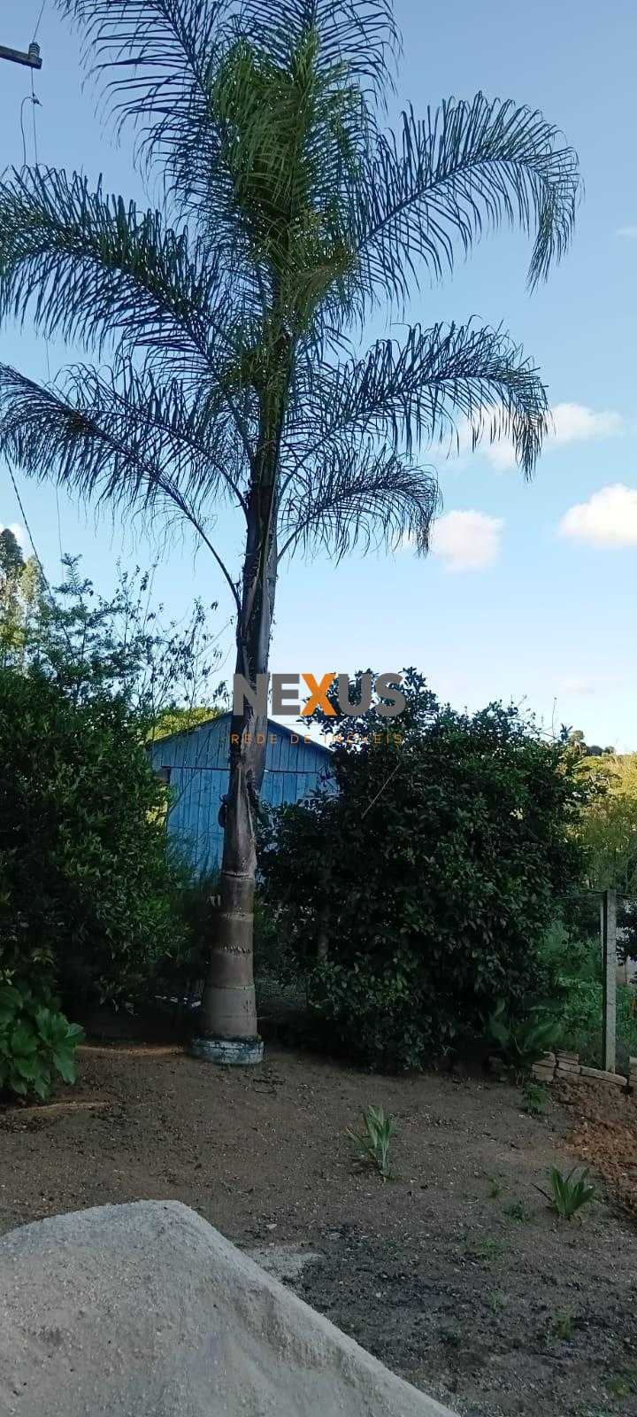 Terreno à venda,  CONTENDA - PR