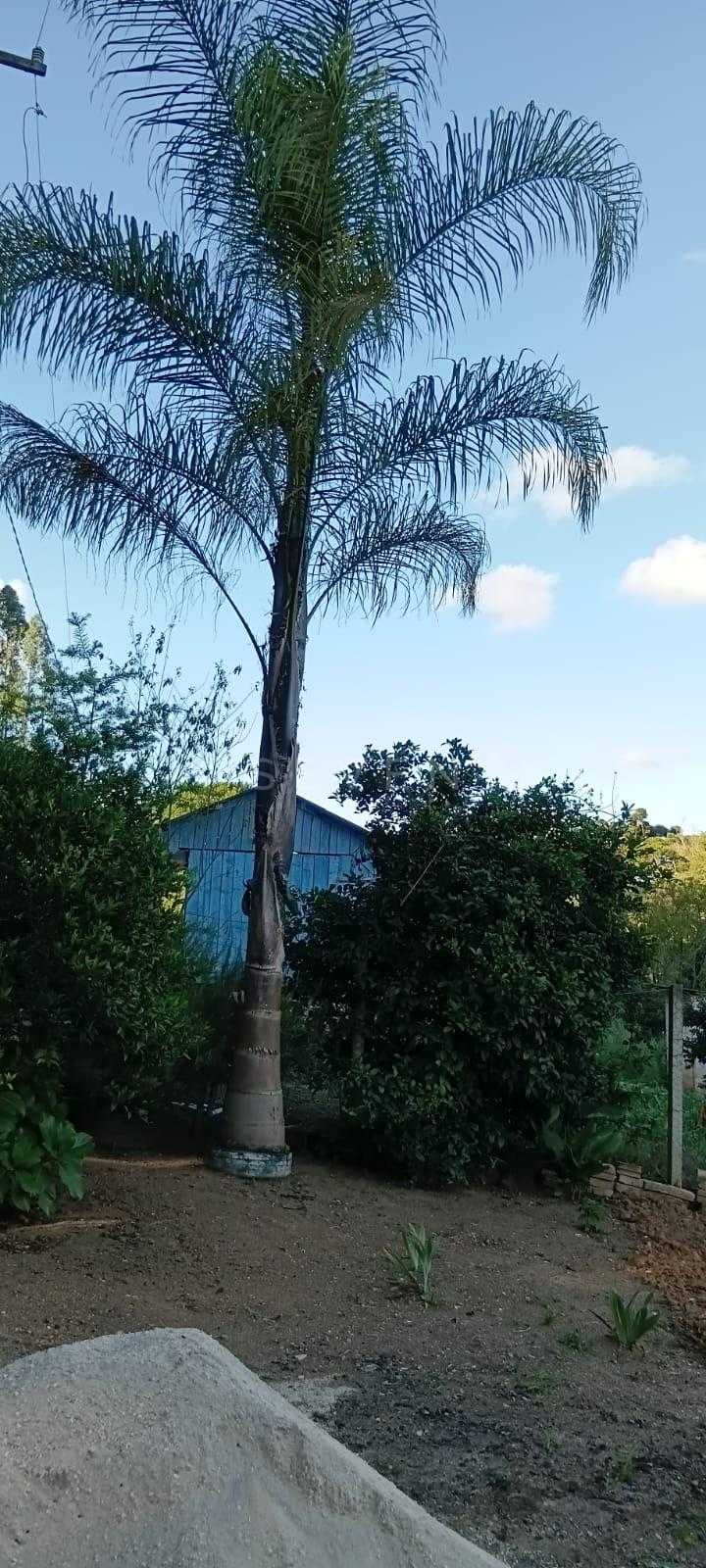 Terreno à venda,  CONTENDA - PR