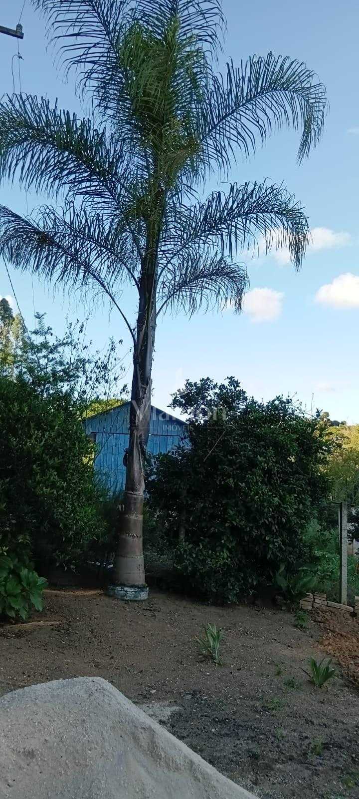 Terreno à venda,  CONTENDA - PR