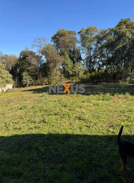 Terreno à venda,5000.00 m , Centro, ALMIRANTE TAMANDARE - PR