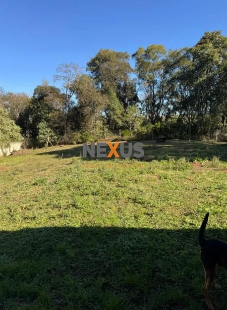 Terreno à venda,5000.00 m , Centro, ALMIRANTE TAMANDARE - PR