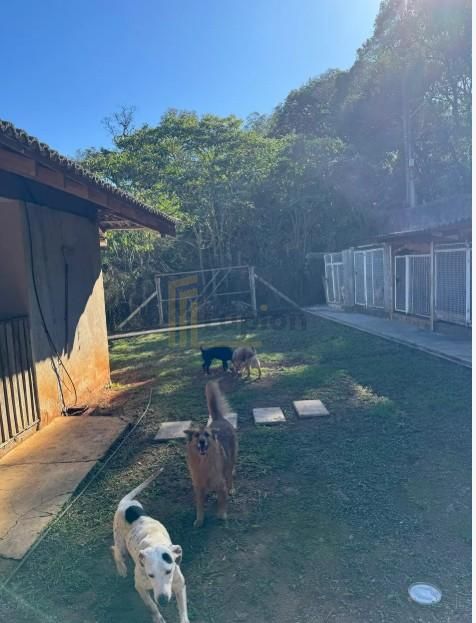 Terreno à venda,5000.00 m , Centro, ALMIRANTE TAMANDARE - PR