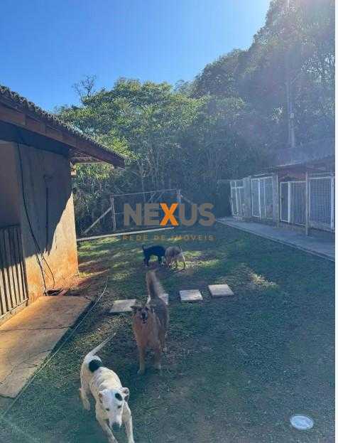 Terreno à venda,5000.00 m , Centro, ALMIRANTE TAMANDARE - PR