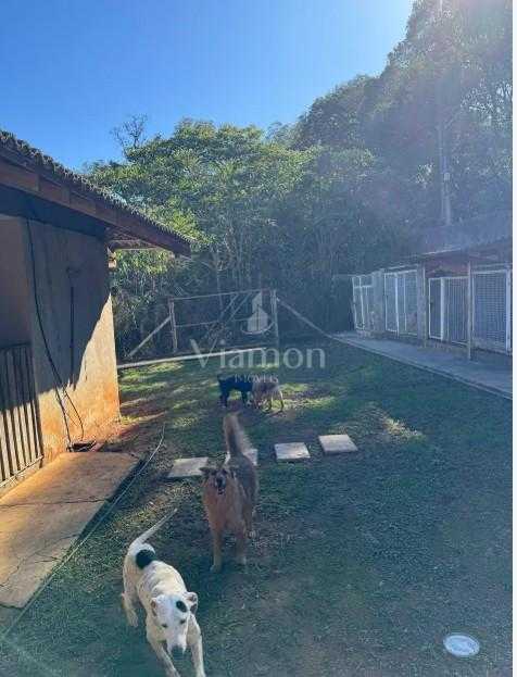 Terreno à venda,5000.00 m , Centro, ALMIRANTE TAMANDARE - PR