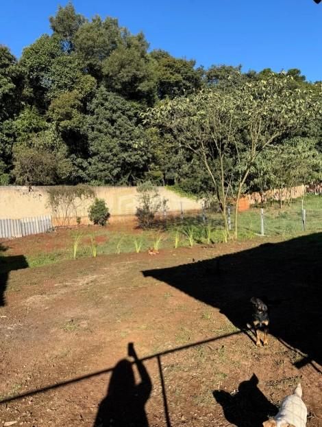 Terreno à venda,5000.00 m , Centro, ALMIRANTE TAMANDARE - PR