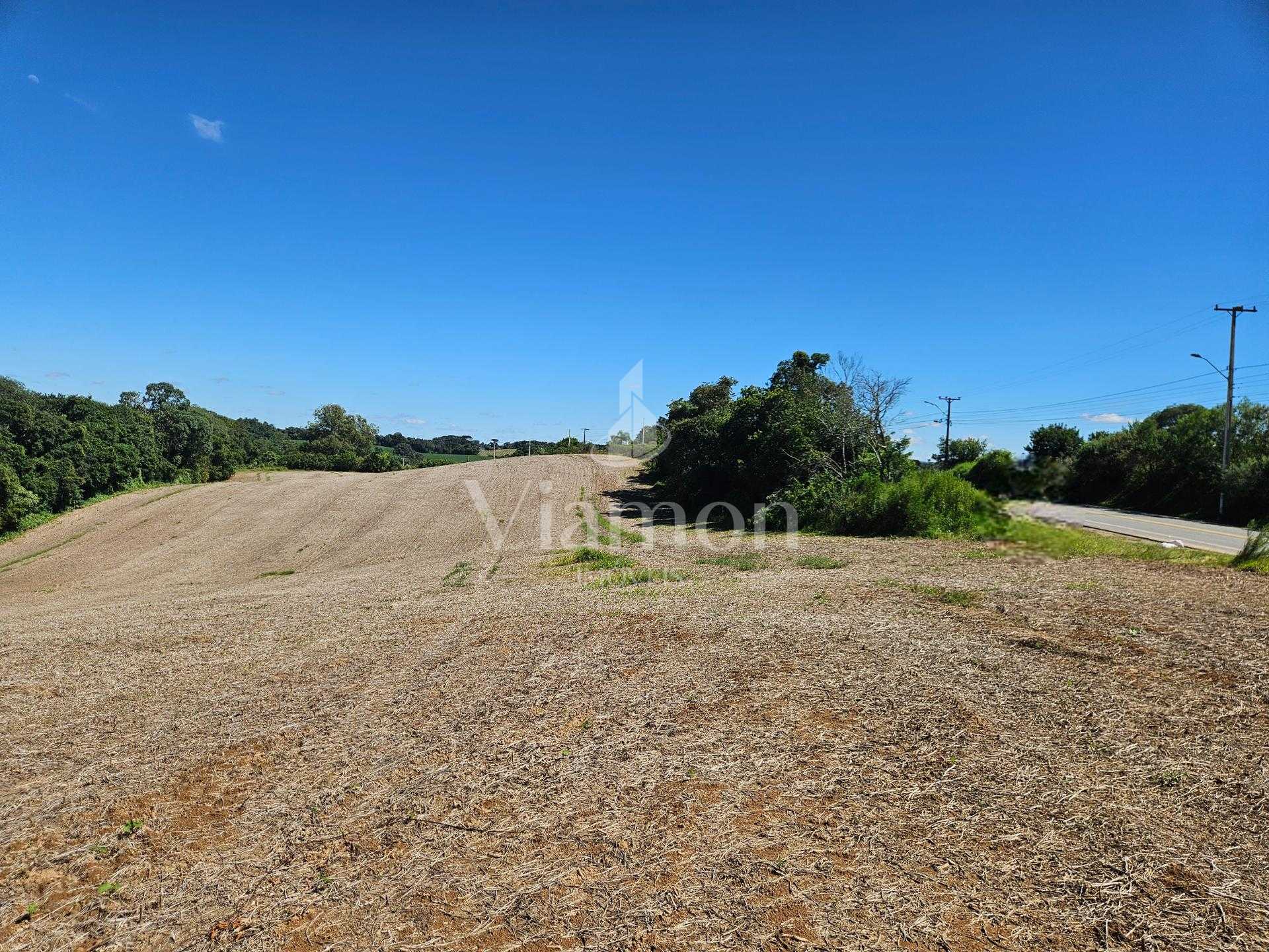 Oportunidade em Araucária  de 67.700 m  de frente para o asfalto