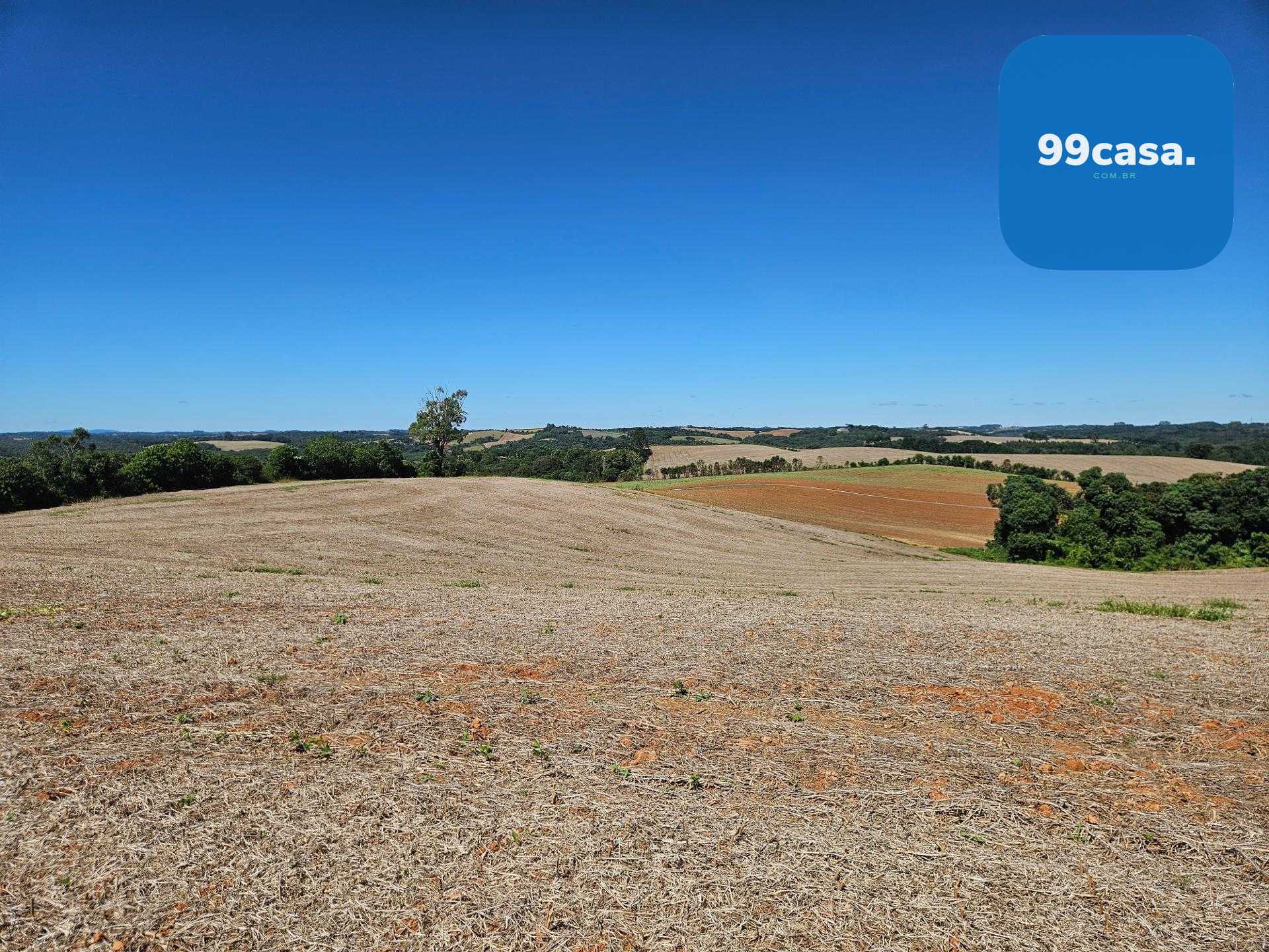Oportunidade em Araucária  de 67.700 m  de frente para o asfalto