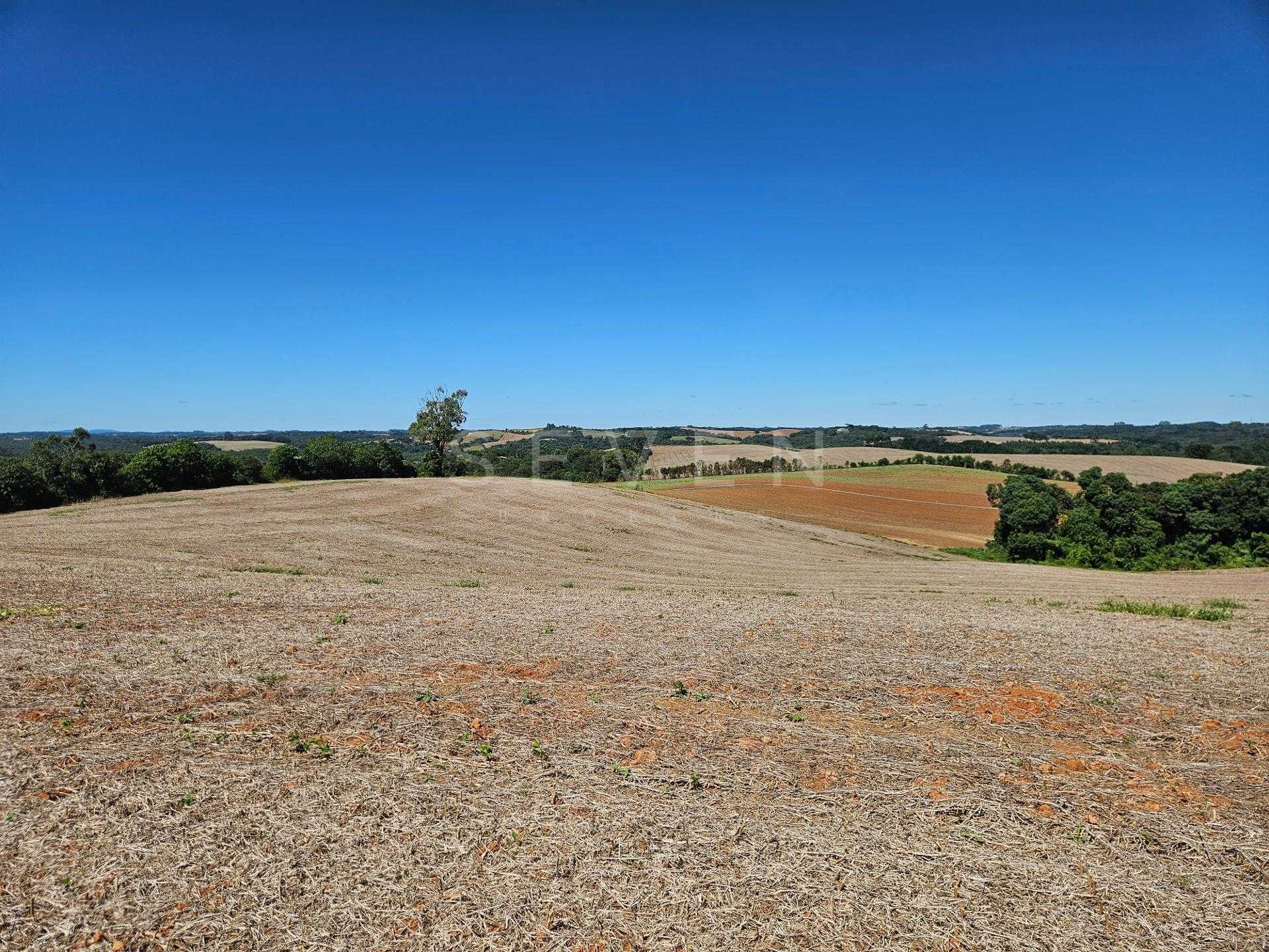 Oportunidade em Araucária  de 67.700 m  de frente para o asfalto